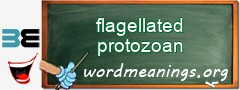 WordMeaning blackboard for flagellated protozoan